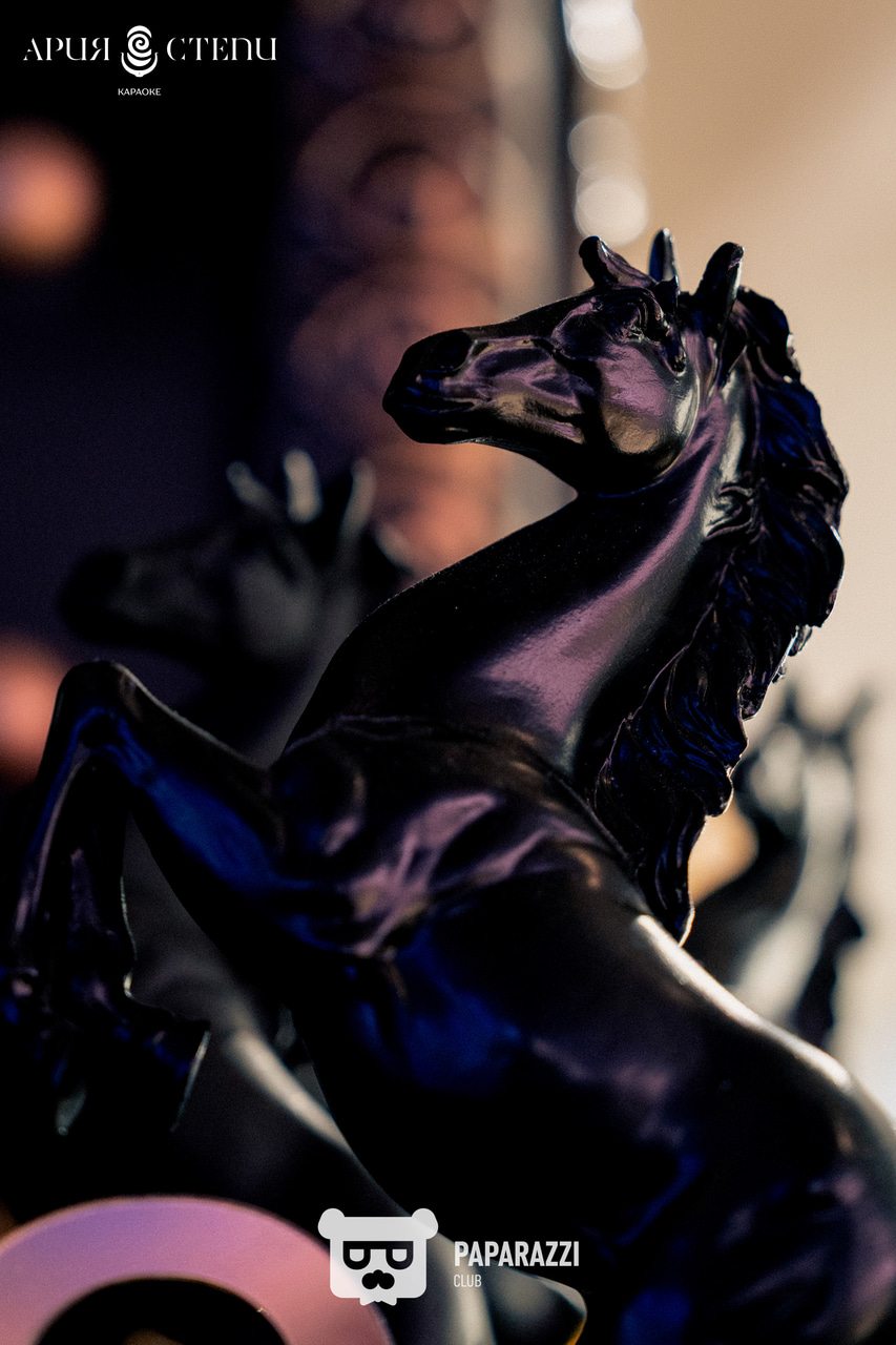 Ария степи Астана 13.03.2026 Ария степи